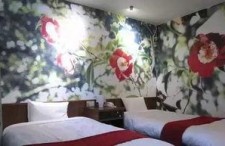 成人旅馆在线观看视频,在线视频带你探秘私密空间