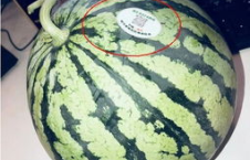 网红吃瓜.coe,揭秘娱乐圈幕后真相