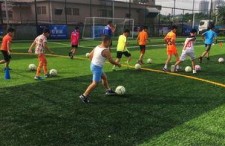 日韩训练足球小场地视频,揭秘高效足球启蒙秘诀