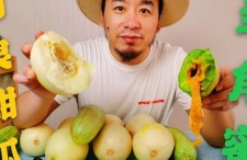 网红吃瓜评论区,热议不断，笑料百出